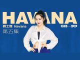 havana教学分解第五集