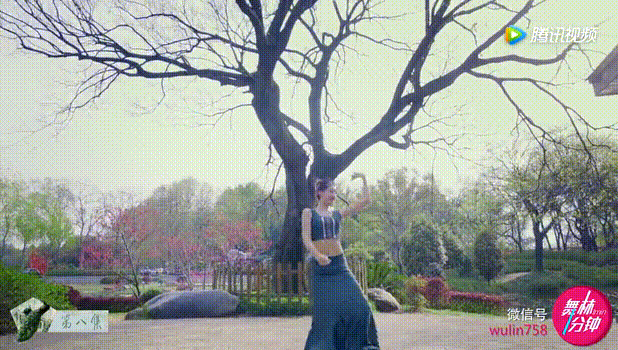 第九届桃李杯剧目傣族舞《花儿》教学
