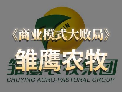 第23期.雏鹰农牧：倒在风口上的猪