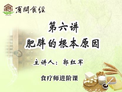 第六讲 肥胖的根本原因