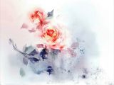 「天使妈咪说故事」盲孩子和影子