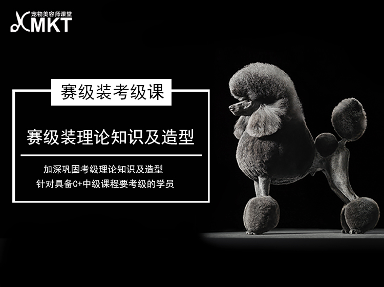 赛级装专业课 ▏赛级装理论知识及造型