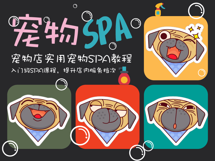 宠物SPA ▏宠物店实用宠物SPA课程