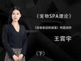 宠物SPA课程理论（下）