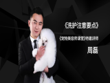 洗护注意要点
