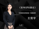 宠物SPA理论（上）