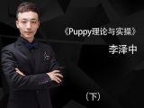 Puppy装理论与实操（下）