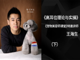 高耳位理论与实操（下）