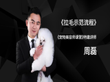 拉毛注意要点拉与流程示范