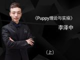 Puppy装理论与实操（上）