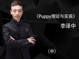 Puppy装理论与实操（中）