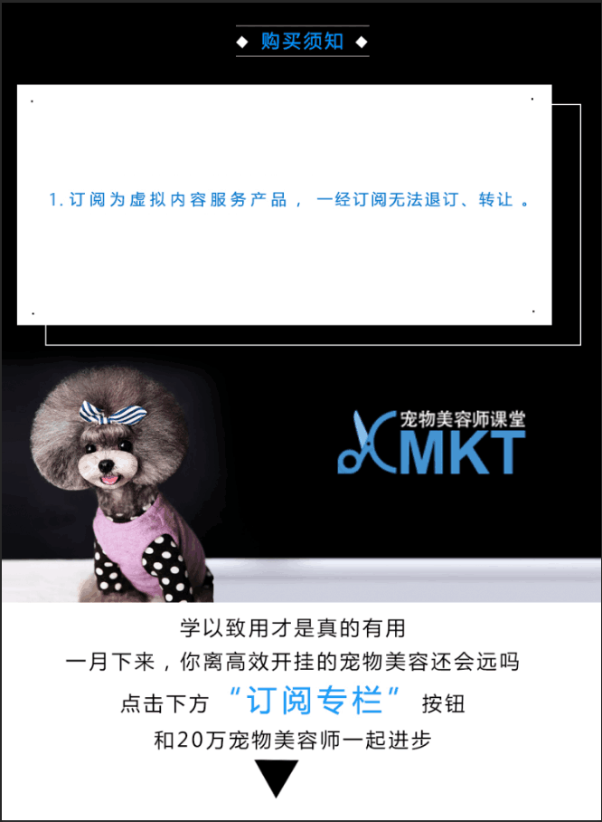 入门课 ▏实用宠物美容入门课