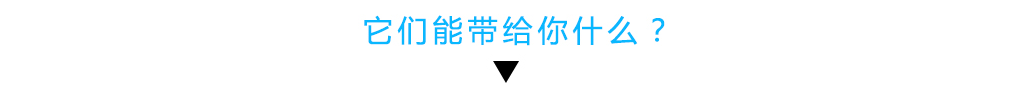 初级课 ▏宠物门店快速美容课