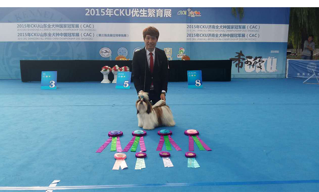 入门课 ▏实用宠物美容入门课