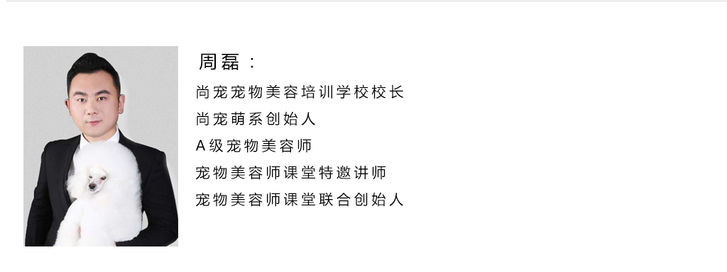 入门课 ▏实用宠物美容入门课