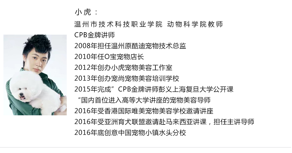 入门课 ▏实用宠物美容入门课