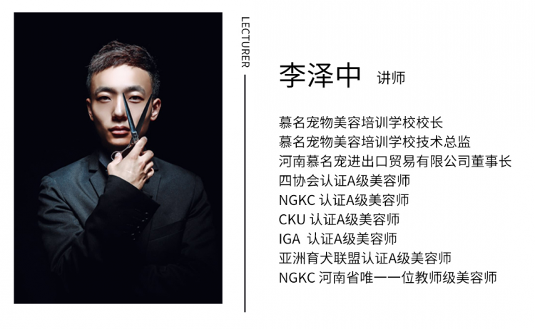 创意造型 ▏时尚宠物美容创意造型