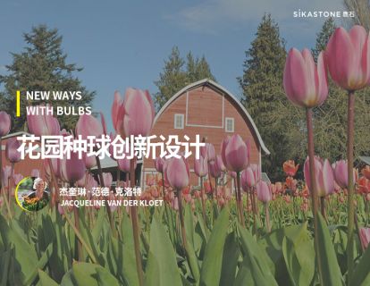 种球花园设计