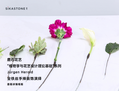 手捧技巧-全铁丝手捧装饰演绎-2