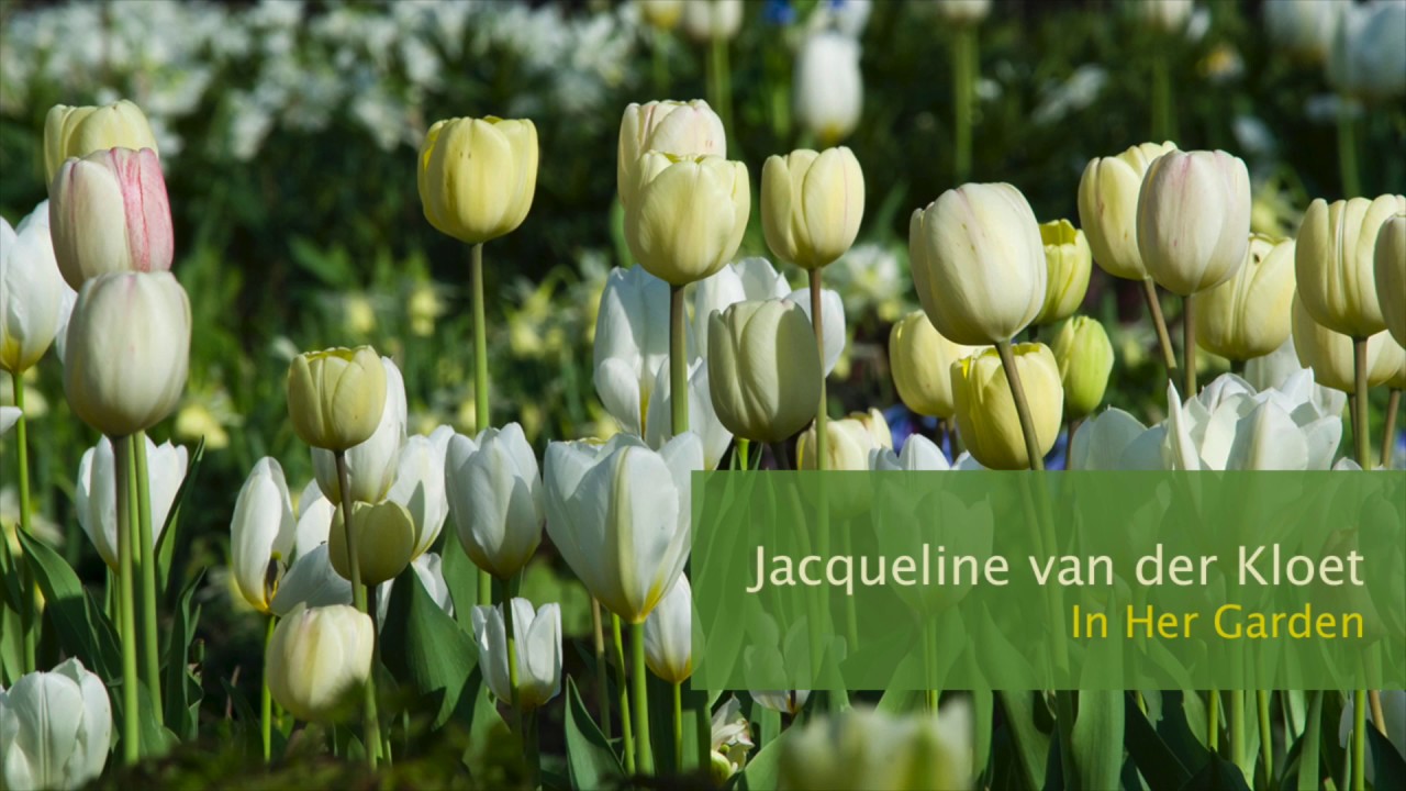 花园种球创新设计——Jacqueline van der Kloet