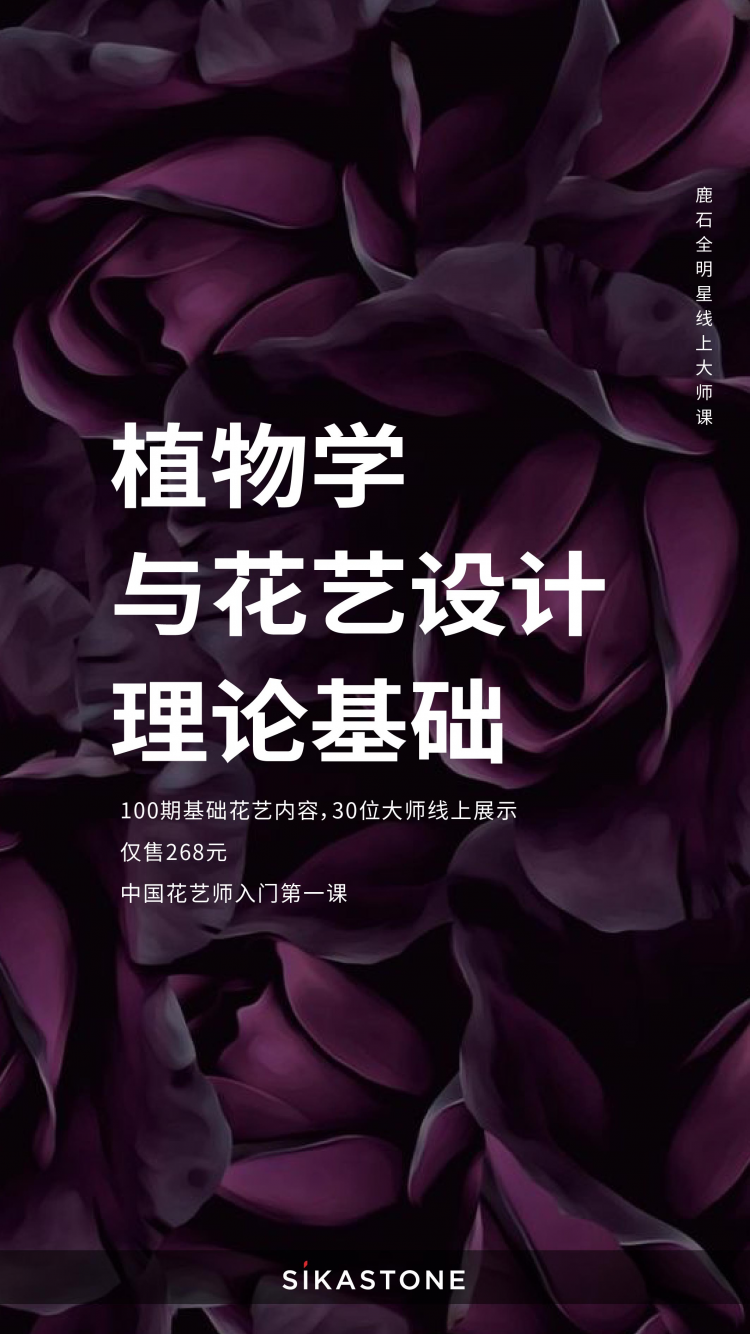 鹿石杂志-植物学与花艺设计理论基础专栏-Fundamental Botany And Floral Design Theory