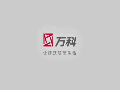 万科的生存法则（上）