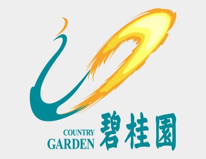 碧桂园行业第一的成功之道