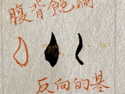 第一课 | 抛个小石子，找找童年的乐趣
