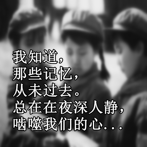 小说《托管班》