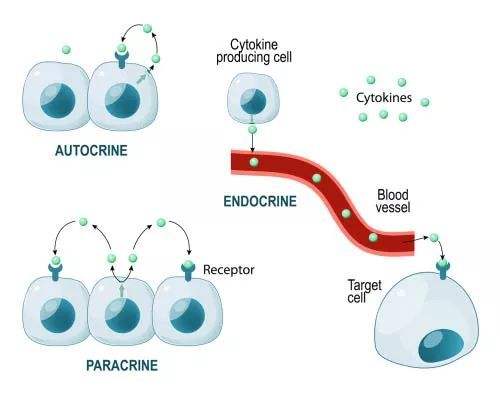 生命科学的数据可视化与科研作图—实用工具与技巧