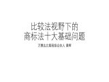 第一讲：在先使用商标的继续使用权（试看）