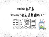 【必修 | 美剧实景】Lesson 60 自然篇 “你见过熊猫吗？”