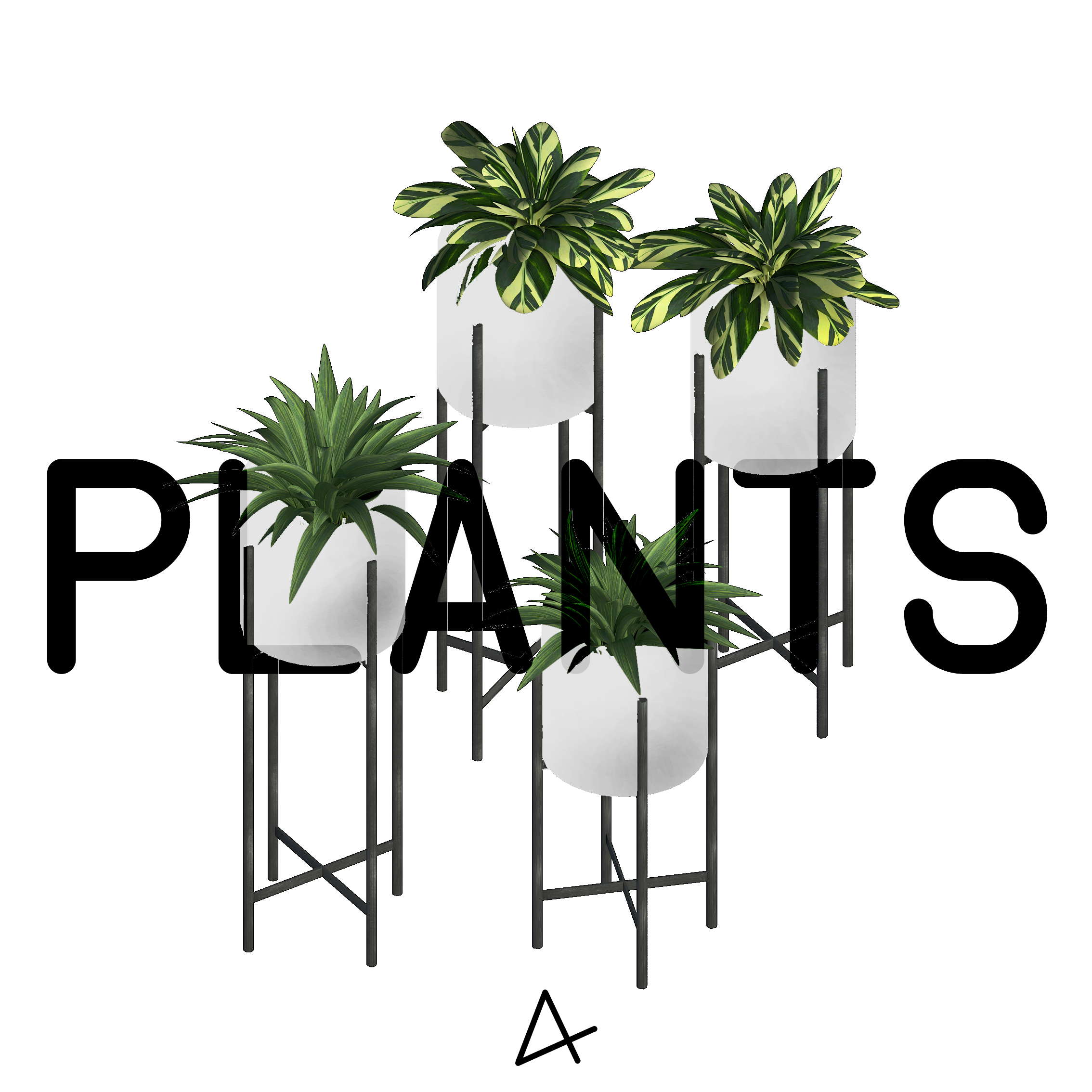 AR1_Plants _看图王.jpg