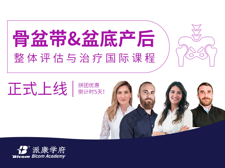 国际课程—骨盆带&盆底产后整体评估治疗（第一模块）