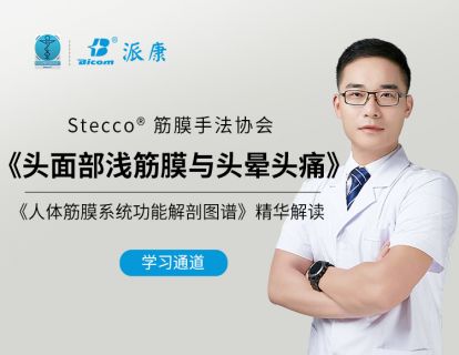 FM临床应用课程-头面部浅筋膜与头晕头痛