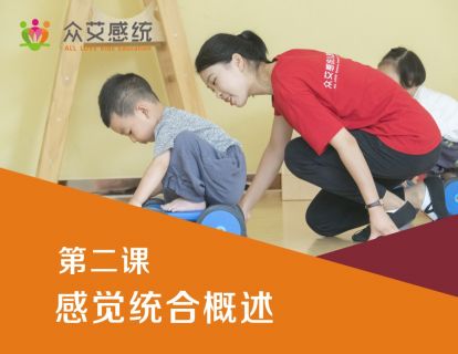 第二课 感觉统合概论