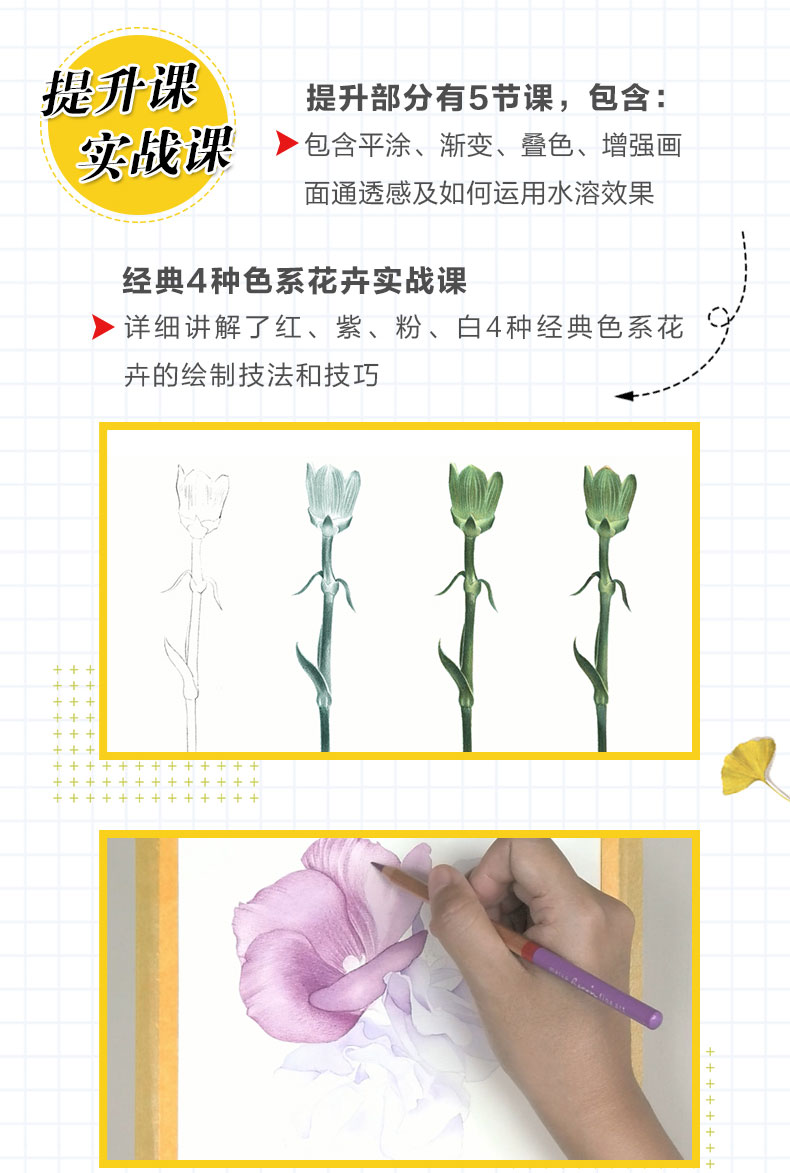 小白也能学会的彩铅课 带你夯实彩铅基本功