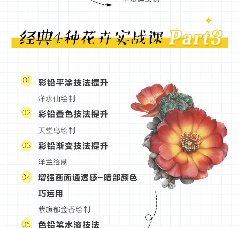 小白也能学会的彩铅课 带你夯实彩铅基本功
