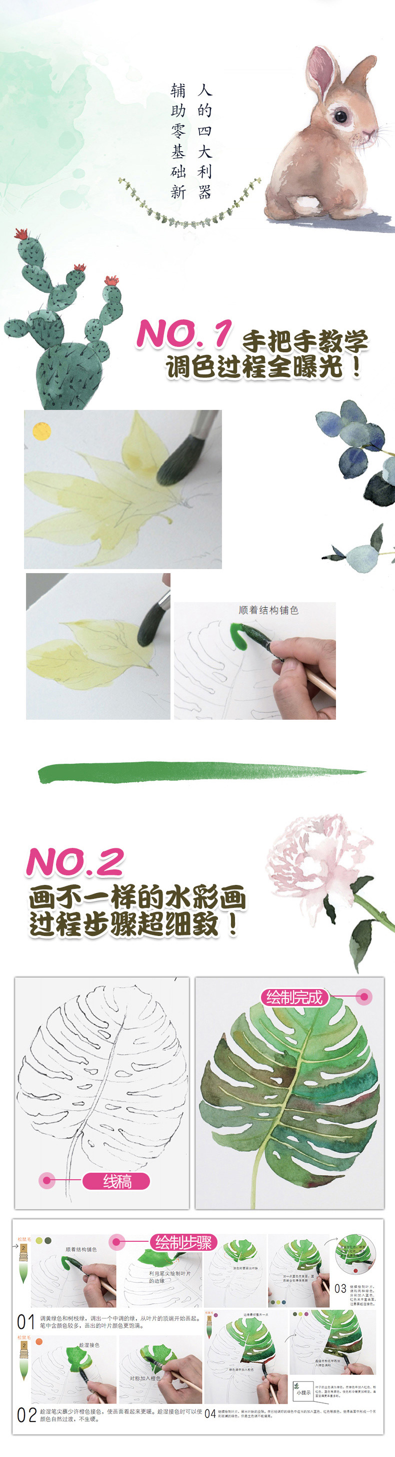 ins风水彩植物装饰画 零基础原速精讲课