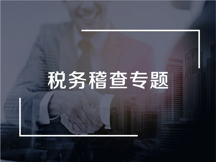 税务稽查专题系列