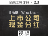 【视频】2.3 什么是股票的现金分红