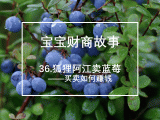 36.狐狸阿江卖蓝莓：买卖如何赚钱？