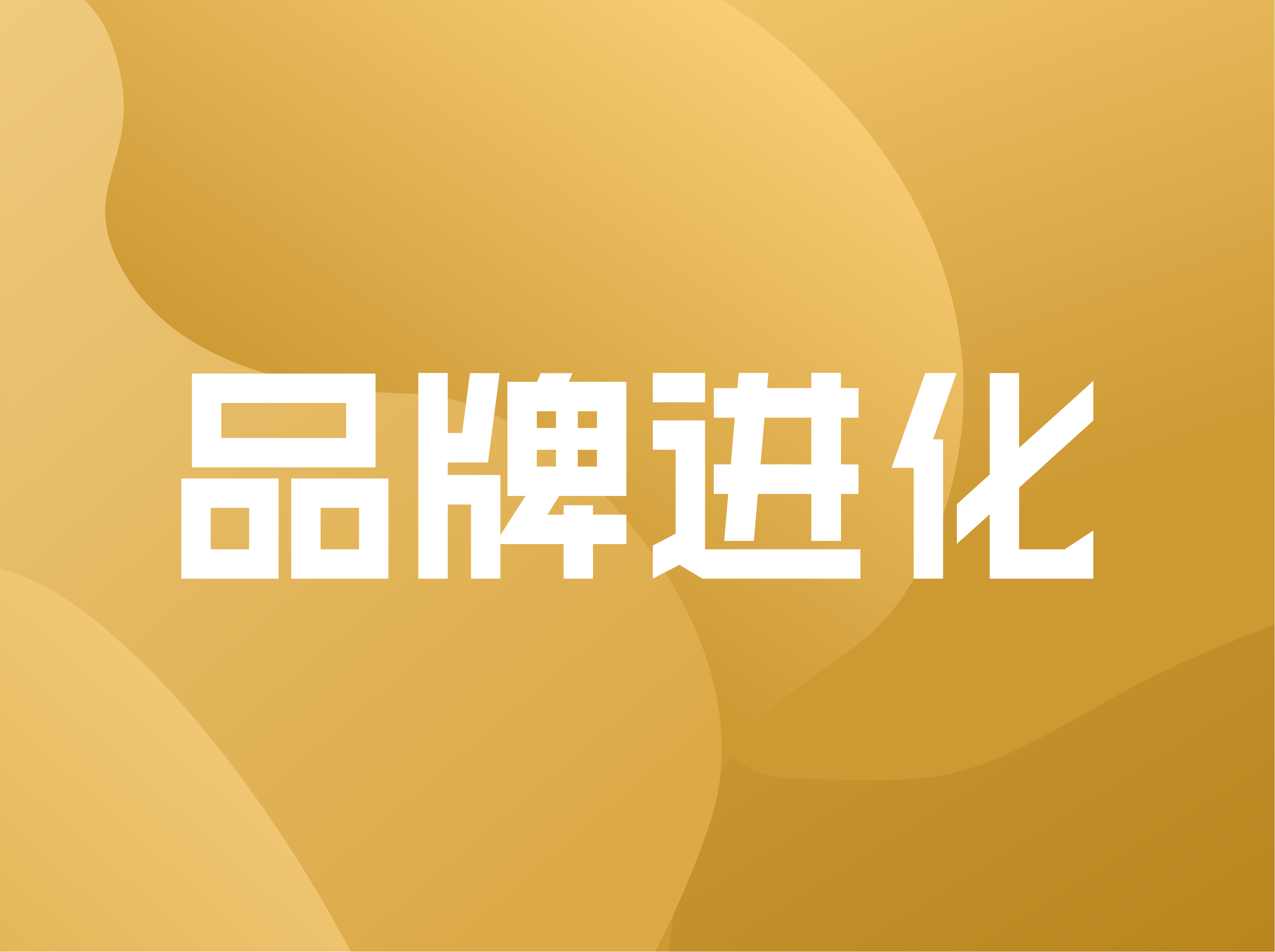 主题演讲《品牌进化》