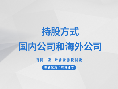 持股方式：国内公司和海外公司
