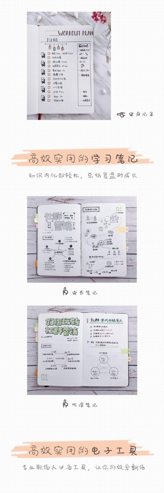 轻松笔记：职场精英都在学的手账术