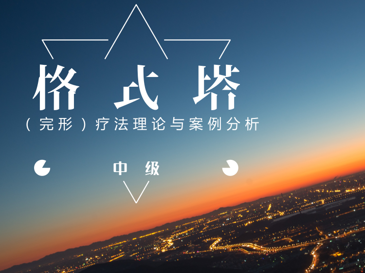 格式塔（完形）疗法理论与案例分析（中级）