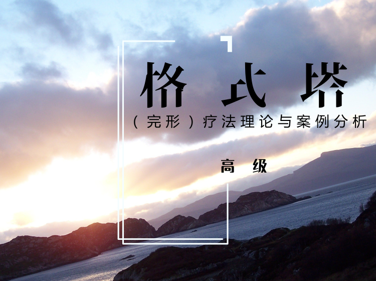 格式塔（完形）疗法理论与案例分析（高级）