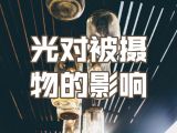 4.之光对被摄物的影响