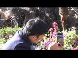 2.手动对焦