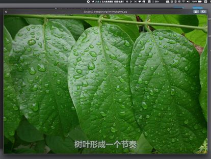 摄影构图学 29.节奏